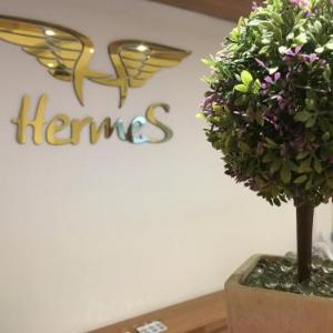 HOTEL HERMES