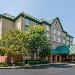 Loveless Cafe Hotels - Comfort Inn & Suites Nashville Franklin Cool Springs