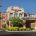 SpringHill Suites by Marriott Philadelphia Willow Grove