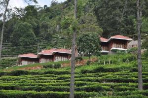 Hanging Huts Resorts, Coonoor