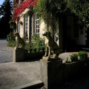 Ty Newydd Country Hotel