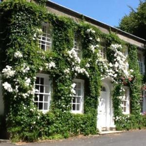 Rose in Vale Country House Hotel