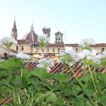 Appartamento nel cuore di Firenze Florence