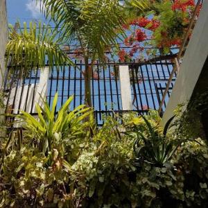 Casa de Arigoffe