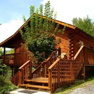 Spruce Lane Cabin ( 2 Bedroom)