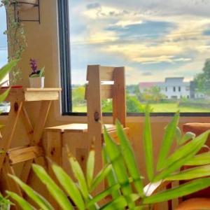Tropical Breeze Apartments