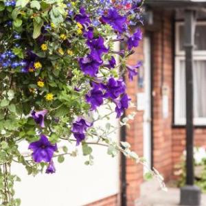 Hotels near All Saints Church Hereford - Kidwells House