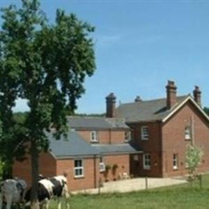 Hotels near Powderham Castle Exeter - Mill Farm