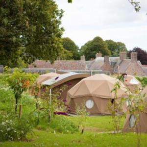 Durrell Wildlife Camp