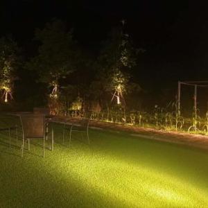 BlackJazz Inn