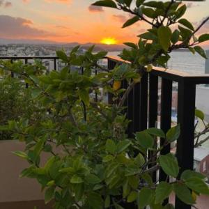 Candia Hotel