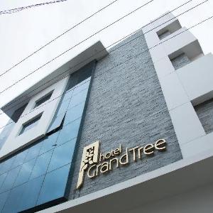 Hotel Grand Tree