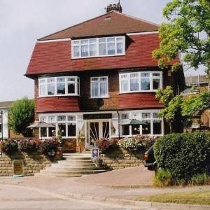 The Alexander - Adults Only