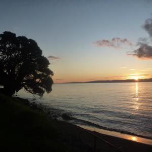 Pohutukawa Coast B&B