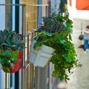 Duque´s Apartments
