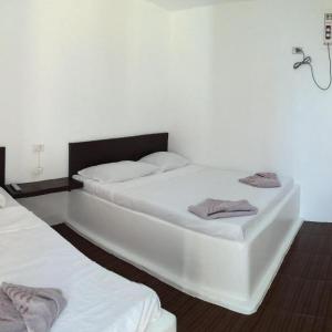 Lola's Lodge