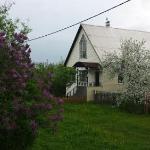 Guest accommodation in Suzdal 