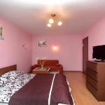 Apartment at Universitet Metro Station Moscow 