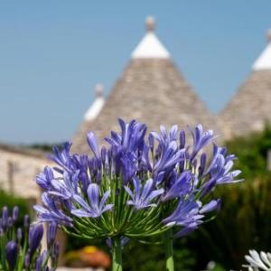 Trulli Oasi Fiorita - Exclusive Apulian Holidays