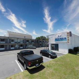 Hotels near Virginia Beach Convention Center - White Marlin Inn - Virginia Beach