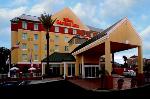 Cornerstone Bardmoor Cancer Florida Hotels - Hilton Garden Inn Tampa Northwest/Oldsmar