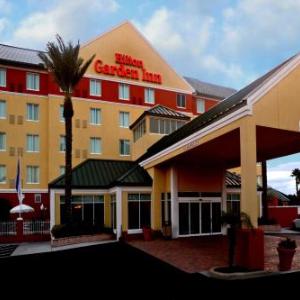 Hotels near Ruth Eckerd Hall - Hilton Garden Inn Tampa Northwest/Oldsmar