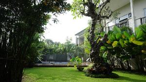 Doho Homestay, Jember