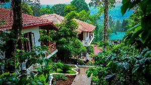 La Flora Jungle Hill Resort - Coorg, Coorg