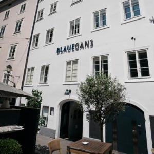 Arthotel Blaue Gans