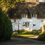 Brace of Pheasants Maiden Newton