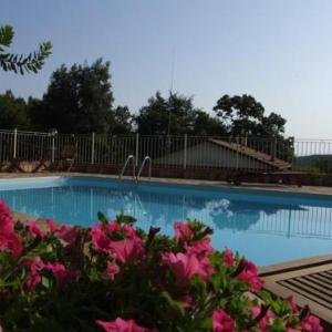 Sassetta Apartment Sleeps 3 Pool WiFi