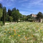 Guest houses in Gordes 