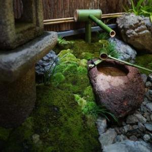 Ryokan Tori