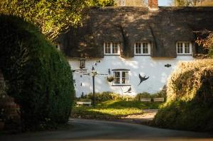Brace of Pheasants, Maiden Newton