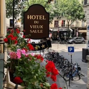 Hotel Du Vieux Saule