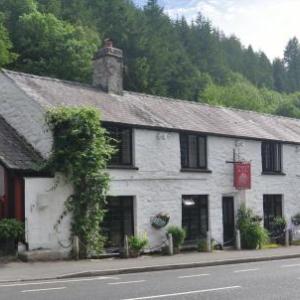 Hotels near Snowdonia National Park - Dragon Bed and Breakfast