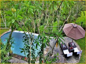 Villa Wedang, Bali
