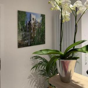 Palm Premium Hotel & Apartments