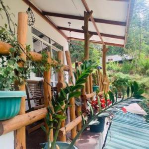 Ella Forest Eco View