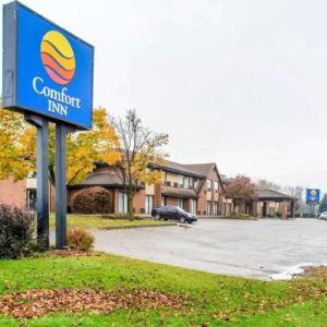Hotels near Bissell Park - Comfort Inn Guelph
