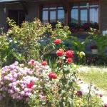 Guest house berendei2000