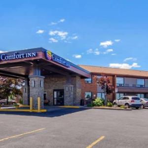 Hotels near FirstOntario Performing Arts Centre - Comfort Inn St. Catharines Niagara