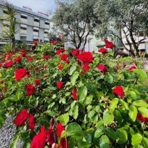 Hotel Villa Augusta