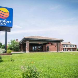 Salle Luc Plamondon Hotels - Comfort Inn Airport East