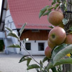 Ferienhof Waggershauser