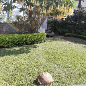 FIGTREE GUESTHOUSE