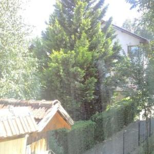 Blue Residence Sarajevo Old Town