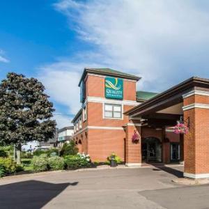 Hotels near Silver Fox Entertainment Complex Summerside - Quality Inn & Suites Garden Of The Gulf