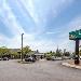 Hotels near Port Credit Memorial Arena - Quality Inn Airport West