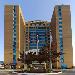 Hotels near Woodbine Mall - Radisson Suites Hotel Toronto Airport